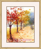 Autumn Walk