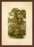 Pastoral Setting II