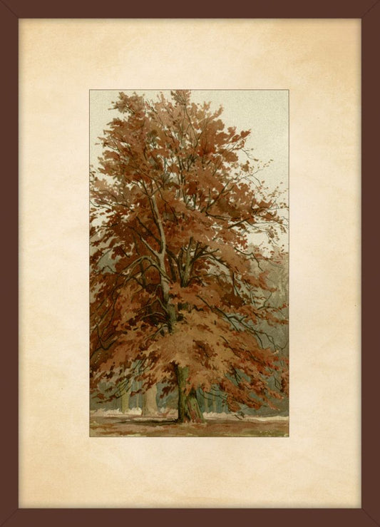 Pastoral Setting III