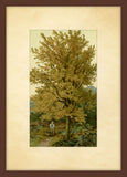 Pastoral Setting VI