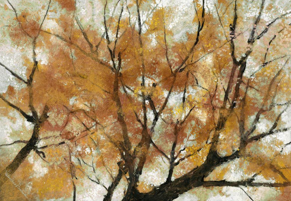 Autumn Boxed Canvas