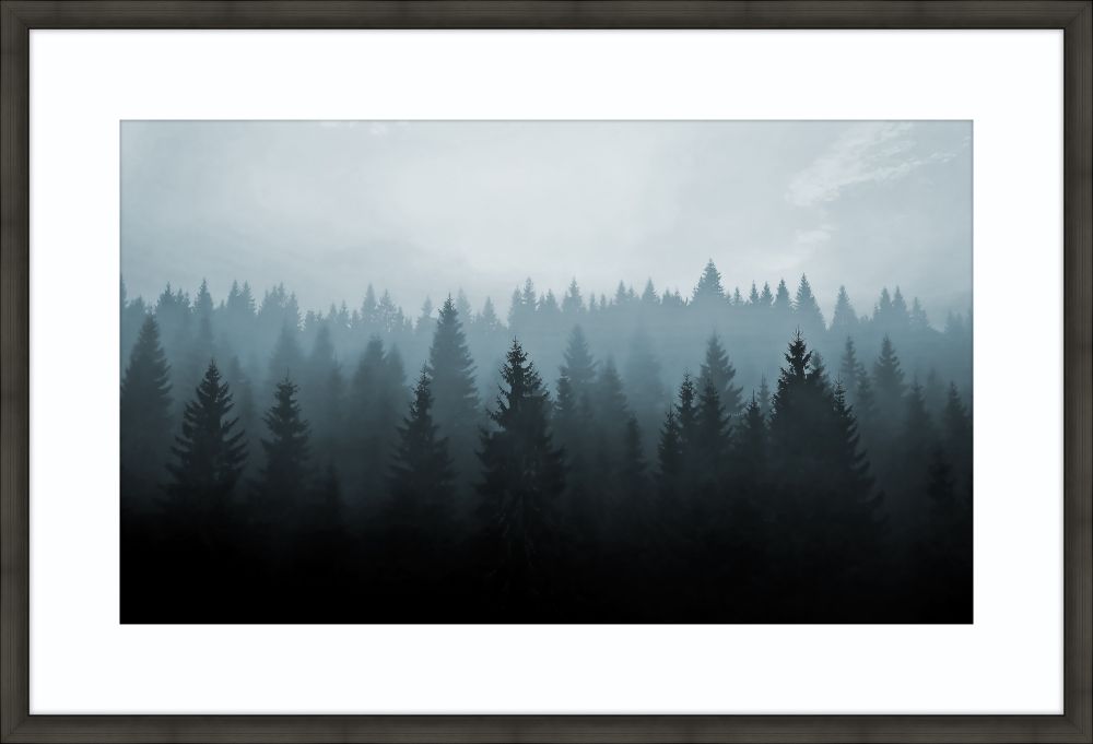 Treetops