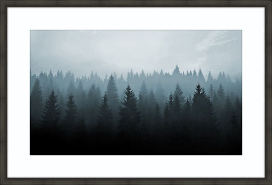 Treetops