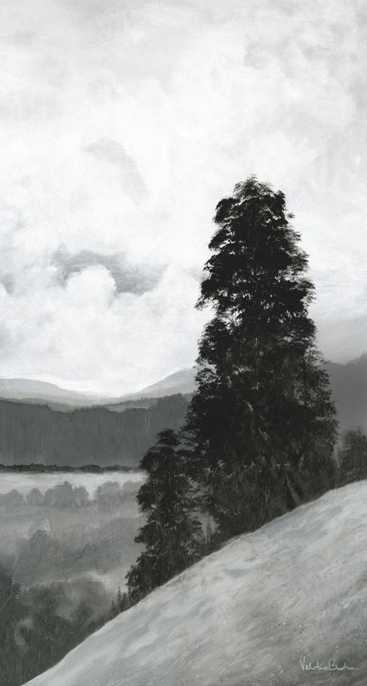 Summit Boxed Canvas