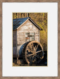 Miller's Wheel