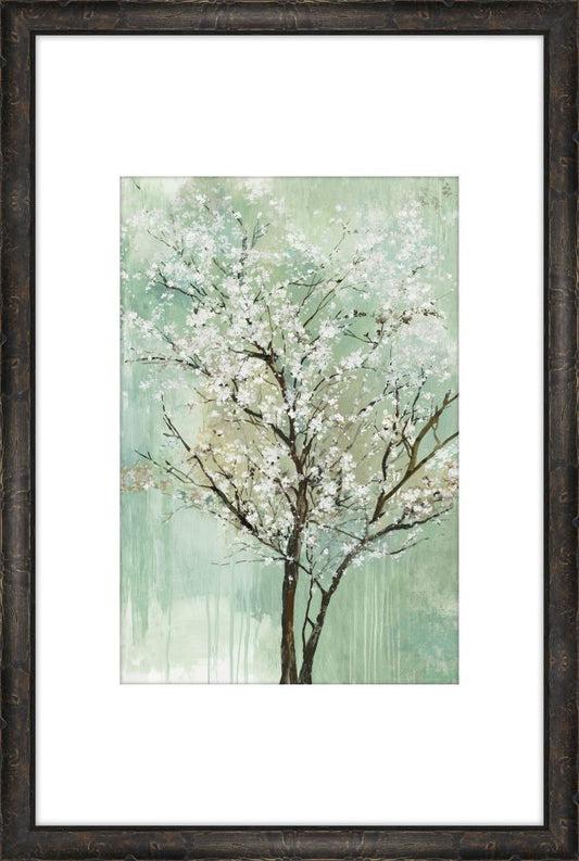 Apple Grove II