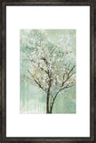 Apple Grove II
