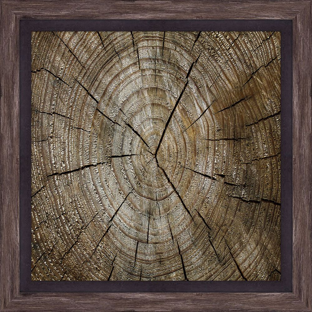 Chunks of wood  I