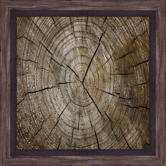 Chunks of wood  I