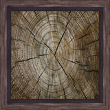 Chunks of wood  I