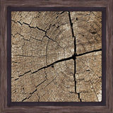 Chunks of wood  III