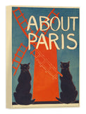 ABOUT PARIS