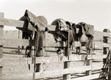 Saddles, Marfa, Texas Boxed Canvas