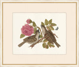 Birds, Blooms, and Bugs V