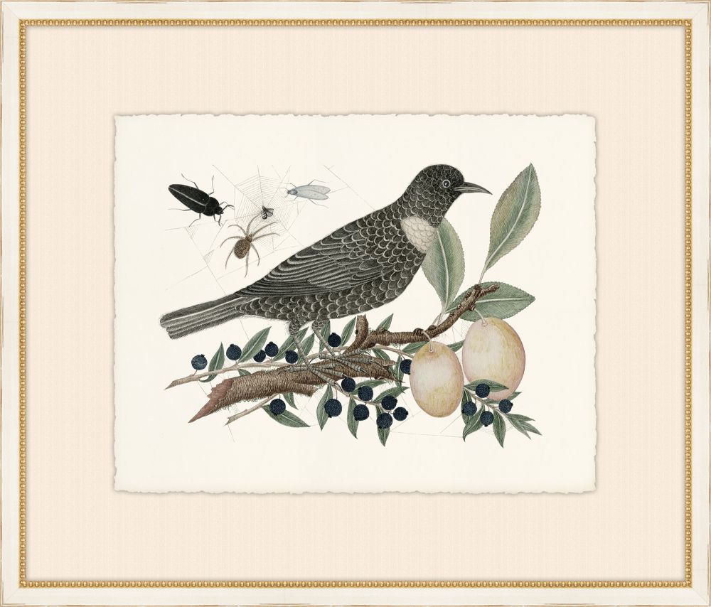 Birds, Blooms, and Bugs VIII