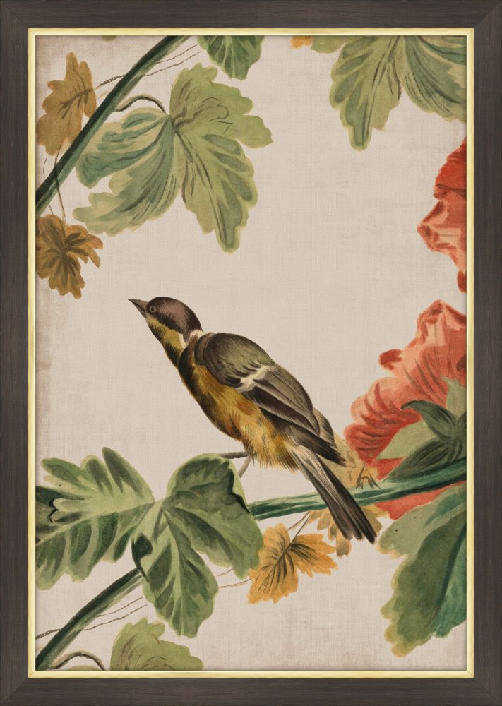 Goldfinch II