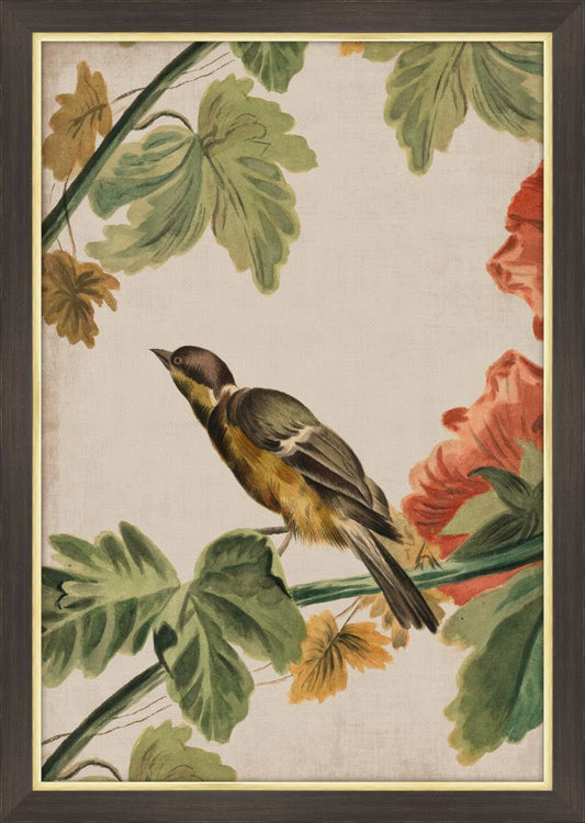 Goldfinch II