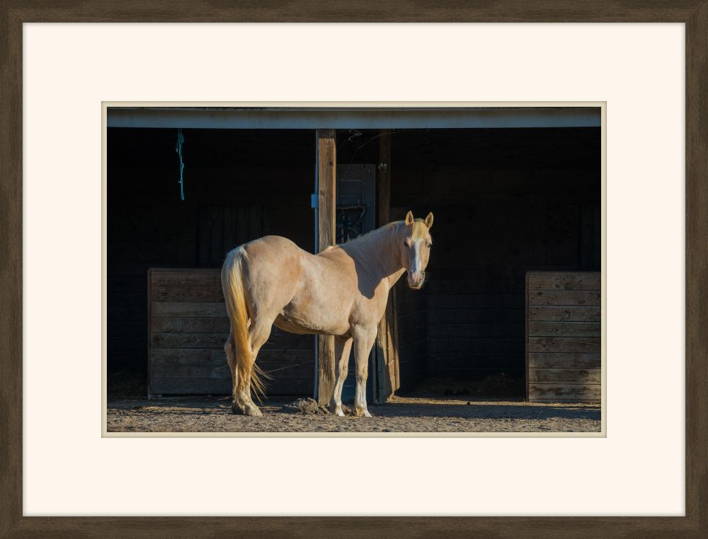 Pale Horse