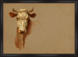 Cattle Study I