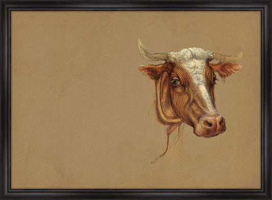 Cattle Study II