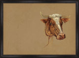 Cattle Study II
