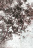 Morning Plum Leaves Boxed Canvas