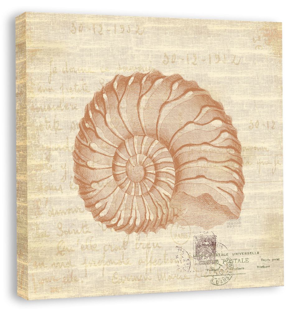 Shells I in Bittersweet Linenin Reverse on canvas