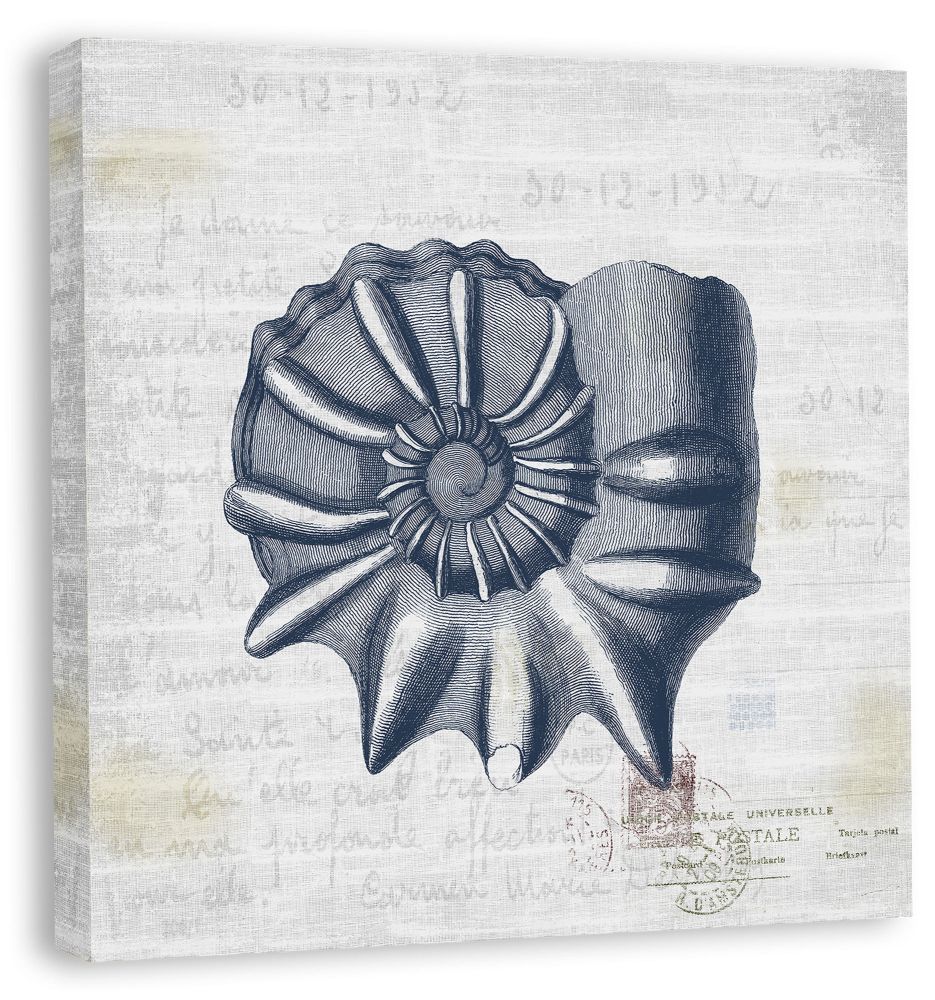 Shells II in Navy Linen in Reverse on canvas