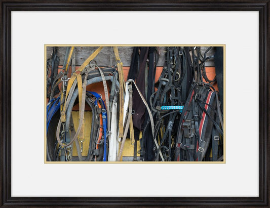 Horse Tack