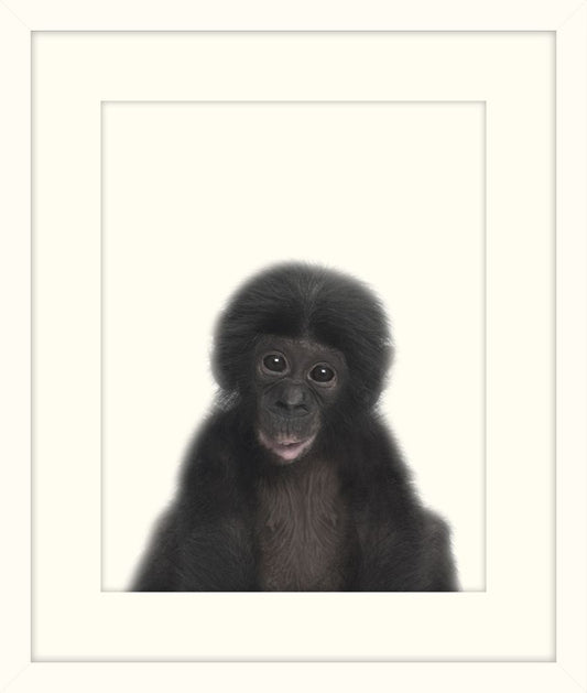 Little Ape