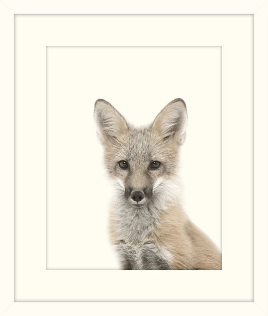 Little Fox