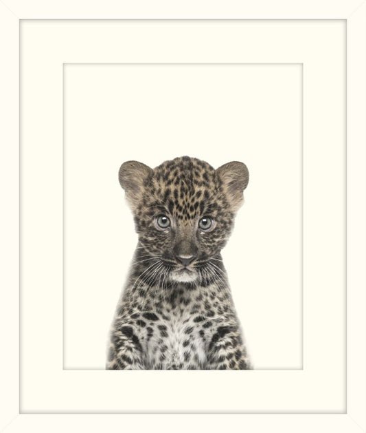 Little Leopard