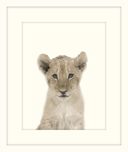 Little Lion