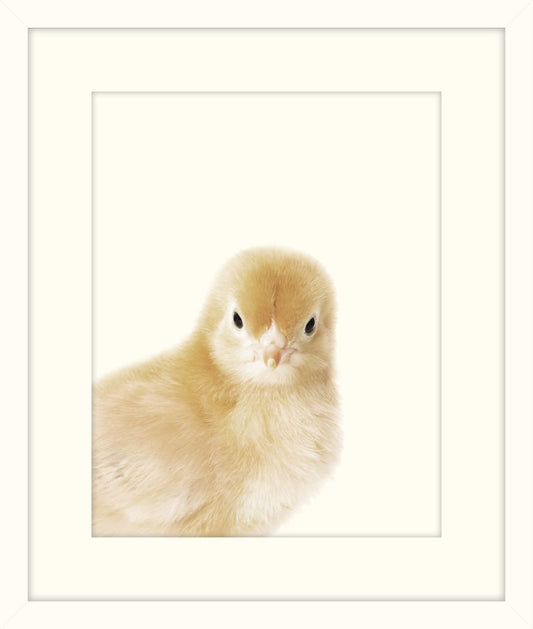 Little Chick