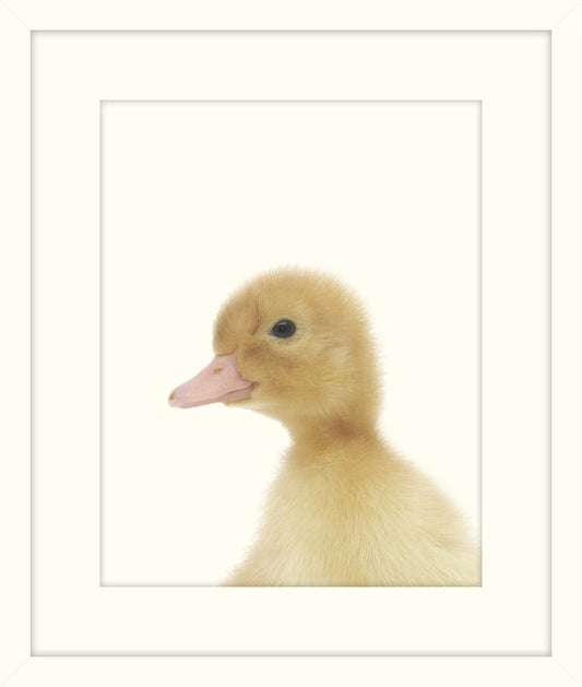 Little Duckling