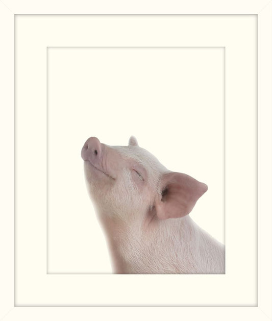 Little Piglet