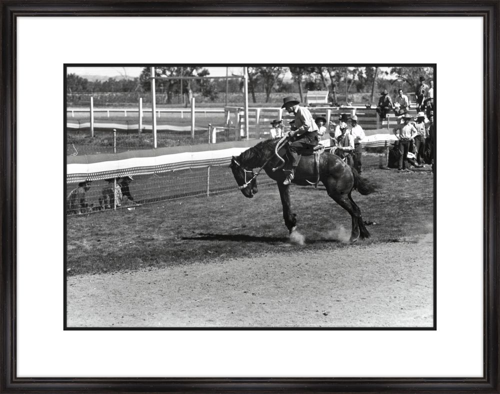 Bucking Bronco