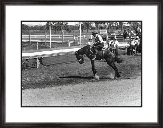 Bucking Bronco
