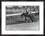 Bucking Bronco