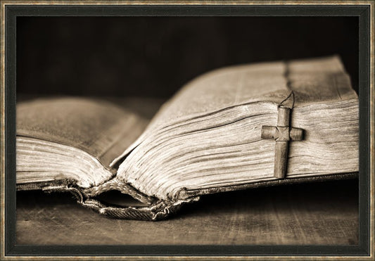 The Good Book III
