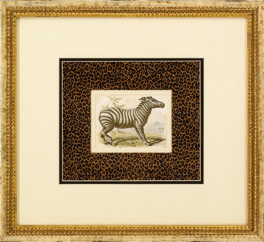 Dickes Zebra