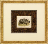 Dickes Rhinoceros