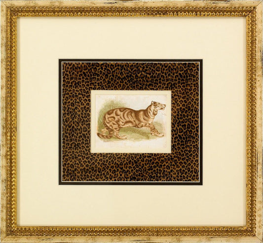 Dickes Tiger