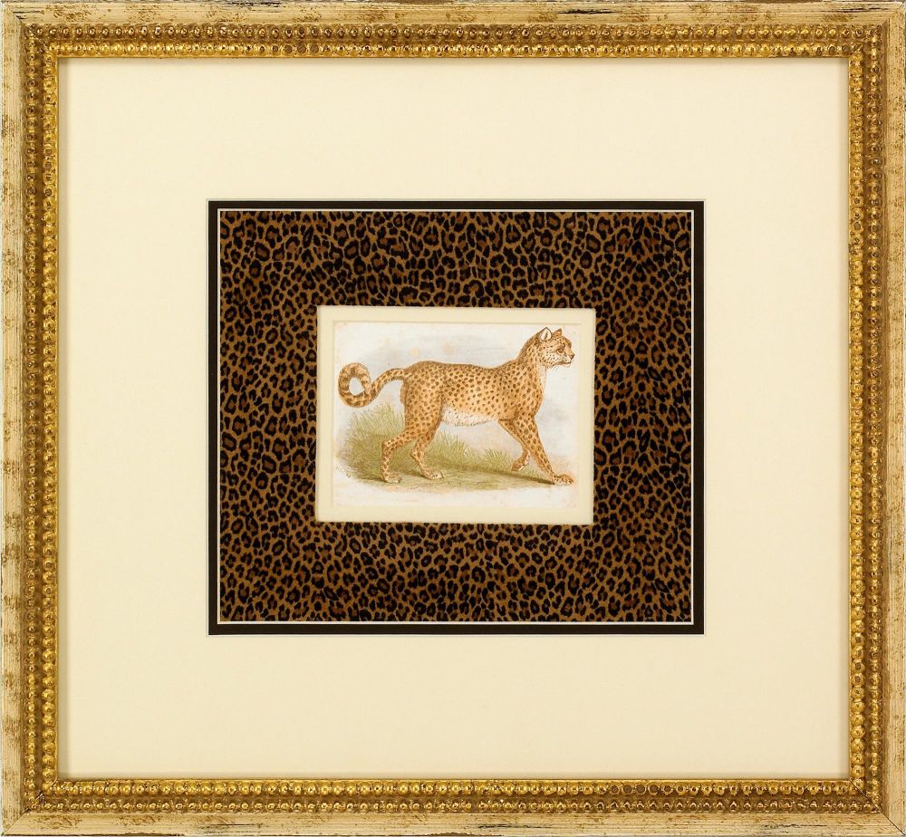 Dickes Leopard