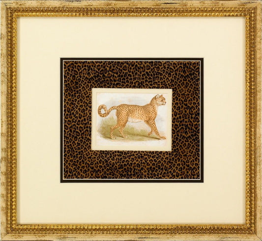 Dickes Leopard