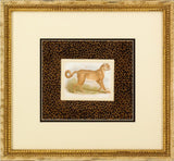 Dickes Leopard