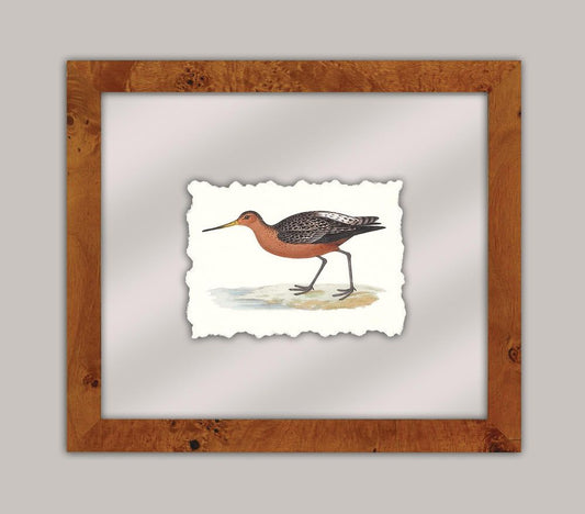 Shore Birds I