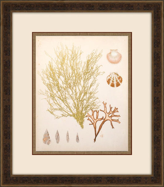 COASTAL RELIC II