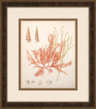 COASTAL RELIC III