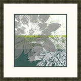 Graphic Blooms I